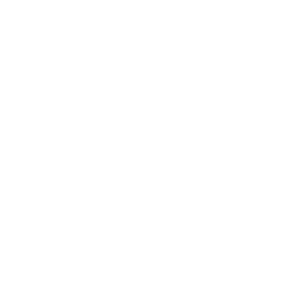 Brighton Chamber logo